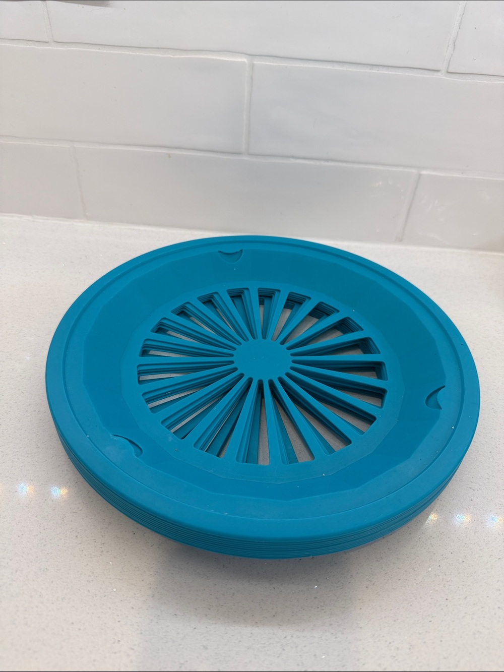 Blue plastic paper plates holder